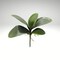 12 Inch Artificial Orchid Leaves Bush for Floral Arrangements and Planters-58806